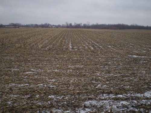 Property photo 2 - 71 Acres Offered in 2 Tracts